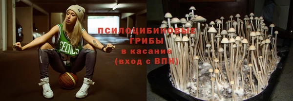 каннабис Алзамай
