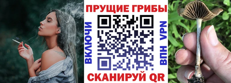 Псилоцибиновые грибы Cubensis  блэк спрут ССЫЛКА  Учалы 